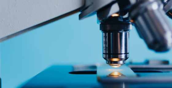 Investigador do i3S premiado pela Associação Europeia de Investigação em Cancro