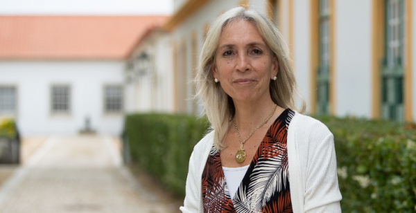 “A inteligência artificial veio para ficar em todas as áreas do conhecimento, incluindo a Medicina”
