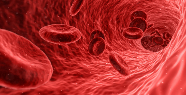 Teste de sangue consegue descobrir cerca de 50 tipos de cancro em fase inicial