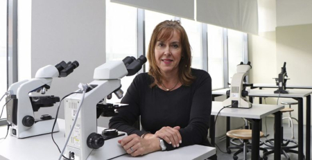 Investigadores defendem realização de exames de neuroimagem para prever neuropatia periférica em doentes oncológicos