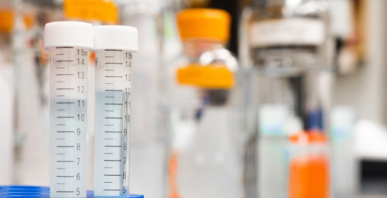 Atualização dos dados de larotrectinib confirmam uma taxa de resposta elevada e respostas sustentadas em doentes adultos com cancro devido a fusão do gene NTRK