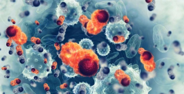 Desenvolvida técnica que aumenta significativamente o poder das células contra o cancro