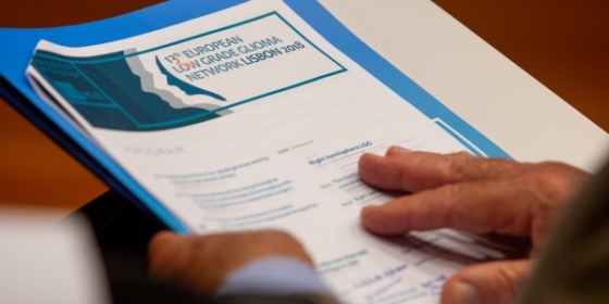 13th European Low Grade Glioma Network em imagens