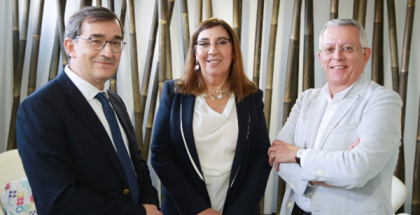 Workshop Cancro do Pulmão: “Consolidar conhecimentos sobre imunoterapia”