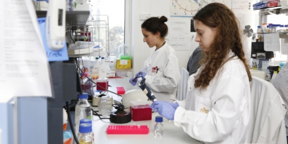 CHLN vai acolher centro líder na investigação sobre cancro e desenvolvimento de terapêuticas