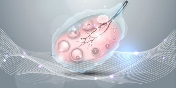 Orientações para a preservação da fertilidade em análise