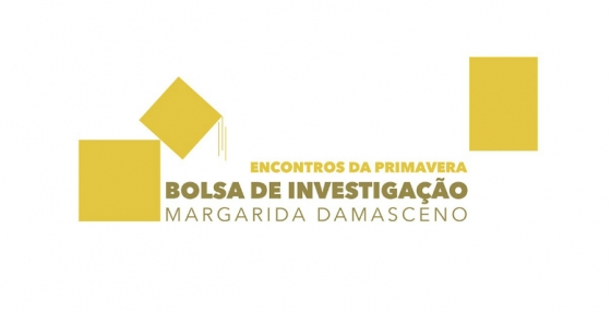 Bolsa de Investigação Margarida Damasceno: vencedor divulgado brevemente