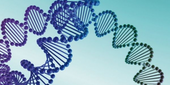 Português faz descoberta importante no diagnóstico e tratamento do cancro