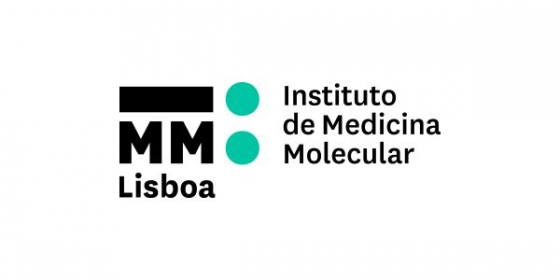 Investigação portuguesa elimina toxidade de certas terapias direcionadas contra o cancro