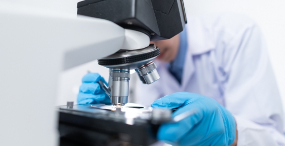 Tecnologia de microtecidos 3D vence Prémio Bluepharma/Universidade de Coimbra