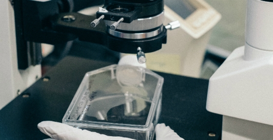 Durvalumab já comparticipado em Portugal