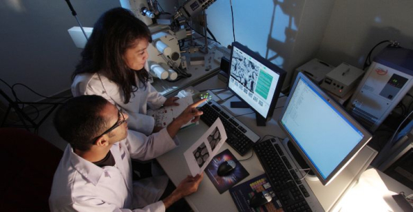 Identificados compostos que potenciam novas soluções no tratamento oncológico