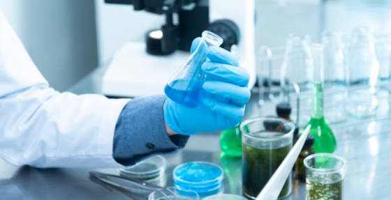 IPO de Coimbra vence prémio com projeto direcionado para doentes de cancro da mama