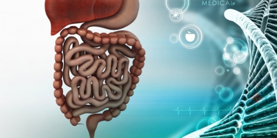 Cancro do intestino: Europacolon Portugal preocupada com a inexistência de um rastreio de base populacional