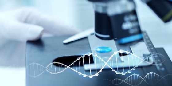 FDA aceita pedidos de autorização suplementar de produto biológico para pembrolizumab