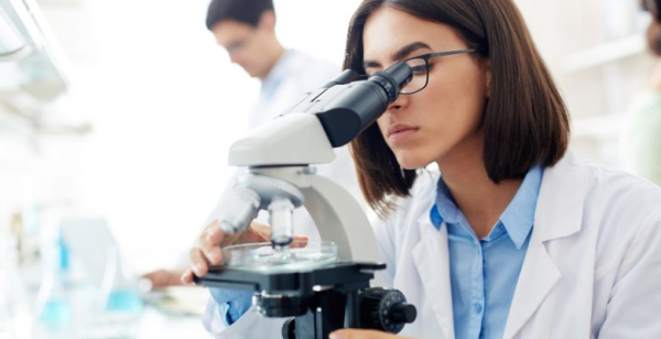 Cientistas estudam efeitos da vacina da tuberculose na destruição de células do cancro da bexiga