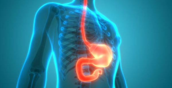 Descoberta molécula associada a "pior prognóstico" de doentes com cancro gástrico