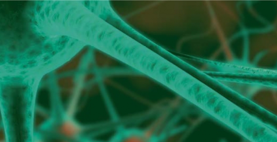 Dor neuropática e cancro: referenciação deve ser o mais precoce possível