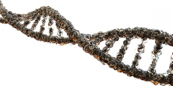 Porque é que os estudos genómicos são importantes na luta contra o cancro? A OncoDNA responde