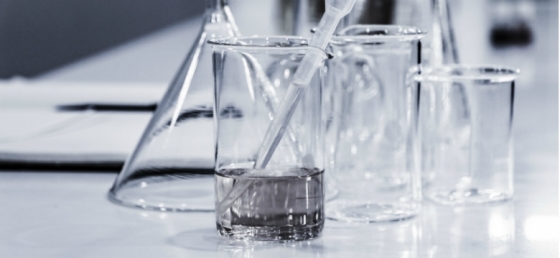 Cientistas do I3S publicam investigação que pode ajudar a prevenir metástases do cancro