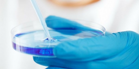Prevenção do cancro gástrico: portugueses desenvolvem método de deteção de Helicobacter pylori