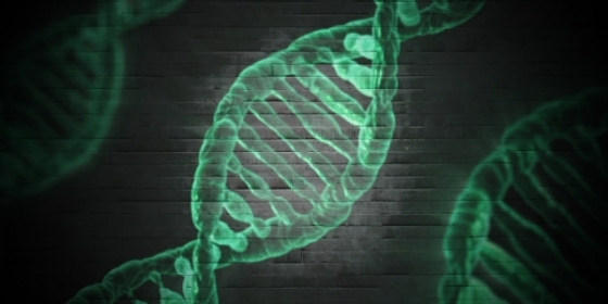 OncoDNA apresenta novo protocolo de análise molecular para cancro de origem desconhecida