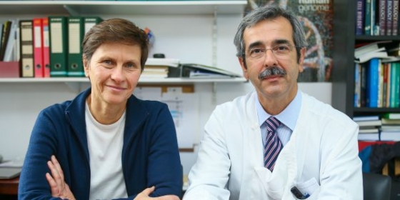 Cancro da mama: iMM e CHLN juntos em investigação pioneira
