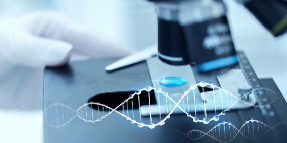 Sociedades Científicas unidas pela preservação da fertilidade no doente oncológico