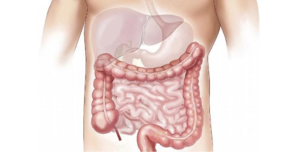 SPG pede maior prevenção para o cancro do intestino, o mais frequente em Portugal