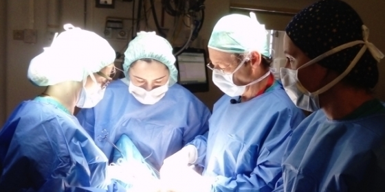 IPO Lisboa celebra Dia Mundial da Tiroide com curso de cirurgia da tiroideia