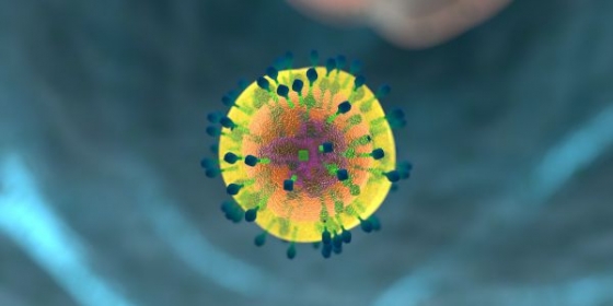 FDA aprova avelumab para carcinoma de células de Merkel metastático