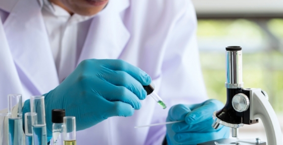 Infarmed aprova o financiamento da associação de medicamentos encorafenib e binimetinib no tratamento do melanoma avançado