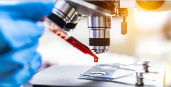 Pembrolizumab como novo standard of care em primeira linha no carcinoma espinocelular da cabeça e pescoço recorrente irressecável ou metastático