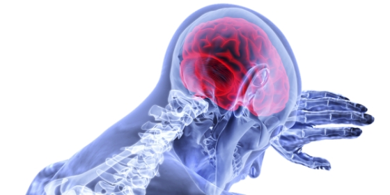IPO-Lisboa recebe palestra sobre investigação translacional em glioblastoma