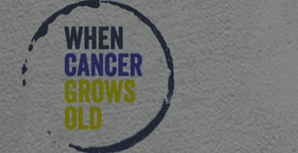 When Cancer Grows Old distingue cinco projetos portugueses de apoio a doentes oncológicos sénior