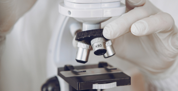 GSK destaca progressos contínuos em investigação de oncologia na ESMO