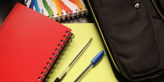 Escolas devem ser mais ativas na sensibilização para o cancro