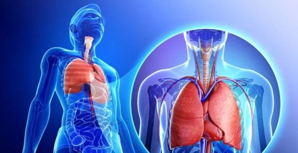 CHMP dá parecer positivo a tratamento com capmatinib no CPNPC avançado METex14