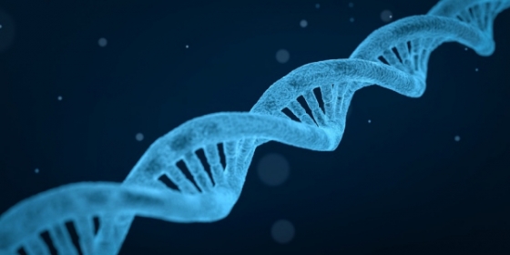 OncoDNA participa no programa luxemburguês MDLUX2 de diagnóstico molecular