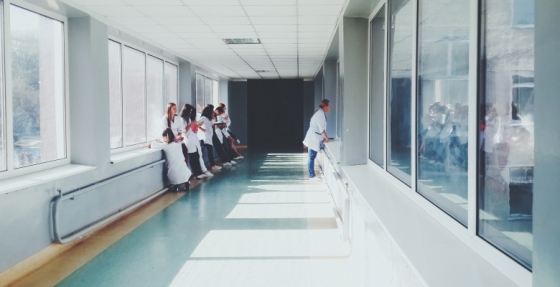 Investigação do IPO Lisboa e do IGC sobre o papel dos centrossomas no cancro do esófago é capa de publicação internacional