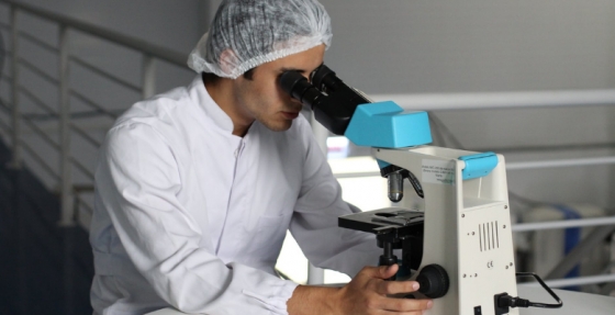 Novo score de quantificação da expressão de HER2: Maior precisão na identificação de doentes respondedores a trastuzumab deruxtecan