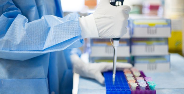 Identificados mecanismos do envelhecimento que potenciam células cancerígenas