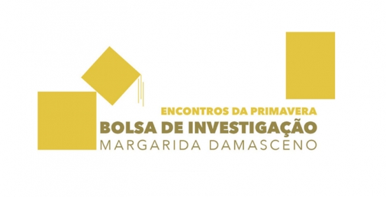 Bolsa de IC Margarida Damasceno: submissão de candidaturas decorrem até fevereiro