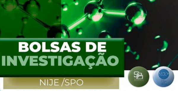 Anúncio dos vencedores das Bolsas de Investigação NIJE da SPO