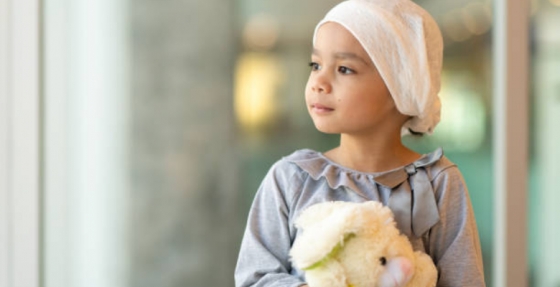 LPCC e Lions reforçam acordo de colaboração para a investigação em cancro infantil