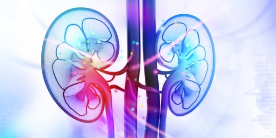 Benefício da terapêutica dupla no tratamento do cancro renal avançado