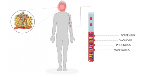 Estudo da Universidade de Coimbra sobre cancro oral distinguido pela Sociedade Portuguesa de Genética Humana