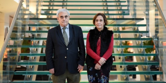 Porto prepara-se para receber as VII Perspectivas em Oncologia