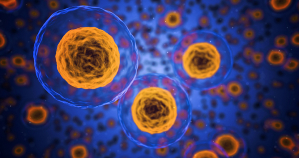 Proteína Parkin pode ser a chave no tratamento do cancro, diabetes tipo 2 e doença de Parkinson