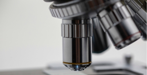 Quais são os maiores desafios no tratamento de doentes com cancro colorretal metastático com mutação BRAF?
